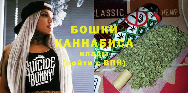 амф Бородино