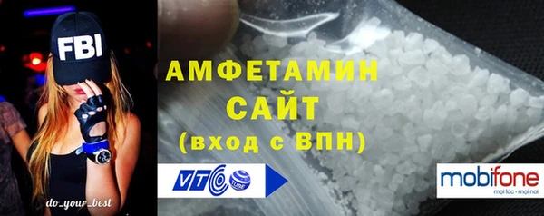амф Бородино