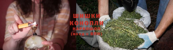 амф Бородино