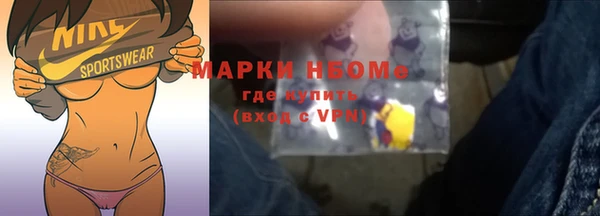амф Бородино