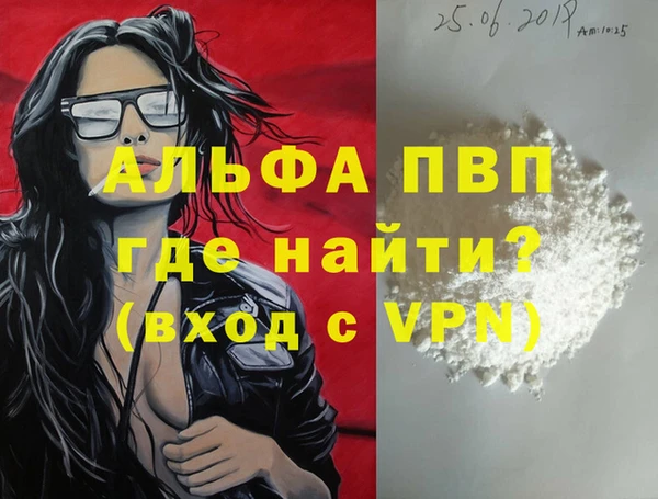 амф Бородино