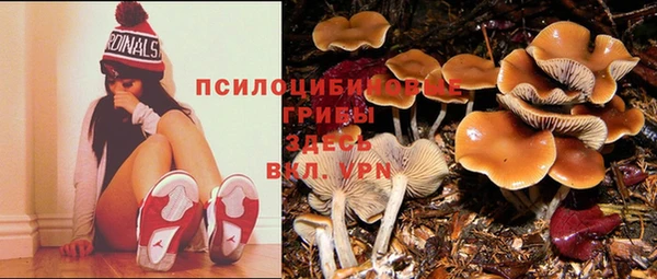 амф Бородино