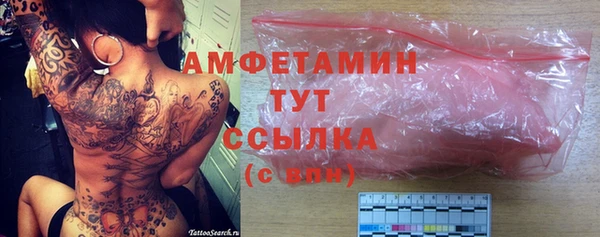 амф Бородино
