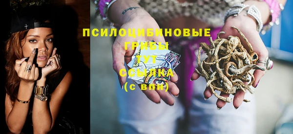 амф Бородино